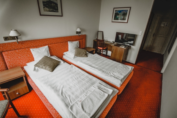 Hotel Alfa Art